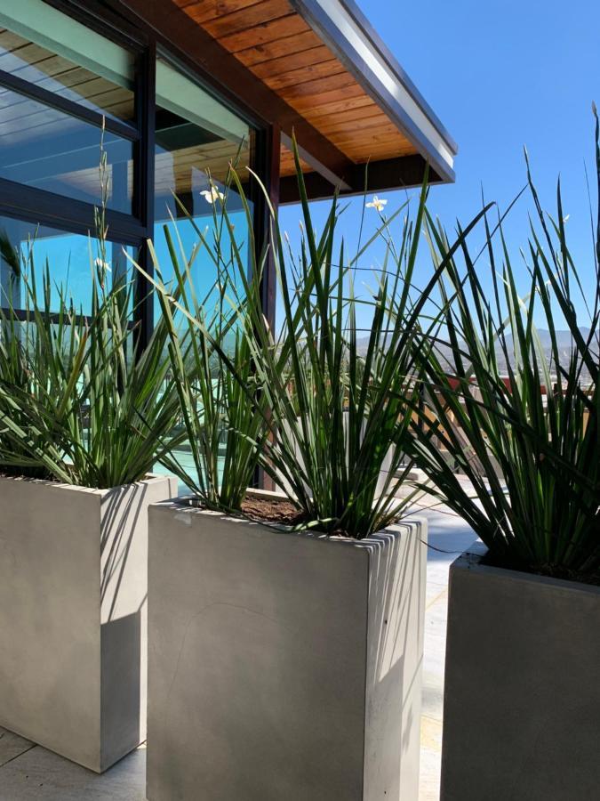 El Refugio Lejlighed Ensenada Eksteriør billede